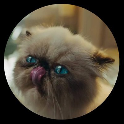 KuCoin X Mr. Miggles